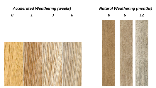 Oak – native without coating